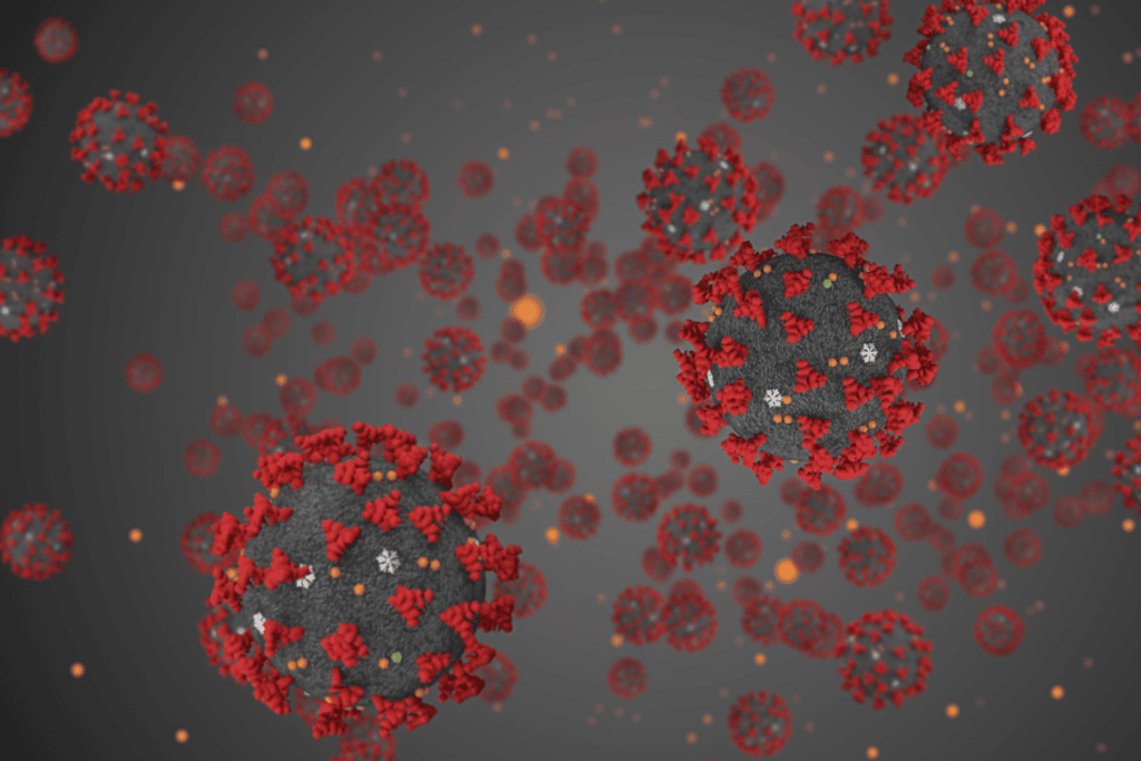 Coronavirus